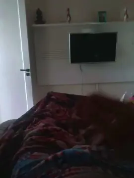 Cam4 Live Sex of Harame