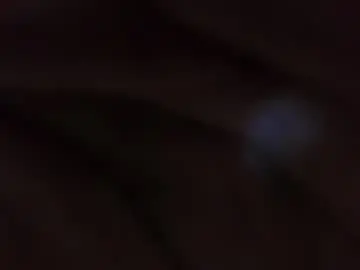 Chaturbate Sex Cam of sweet_wallen
