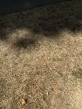 Stripchat Sex Cam of XMenX24